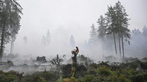 Waldbrand in Ostbelgien laut Behörden "eingekreist" - Lage bleibt "kompliziert"