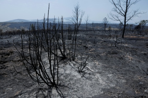 Waldbrand außer Kontrolle: 3500 Menschen in Gemeinde westlich von Madrid evakuiert