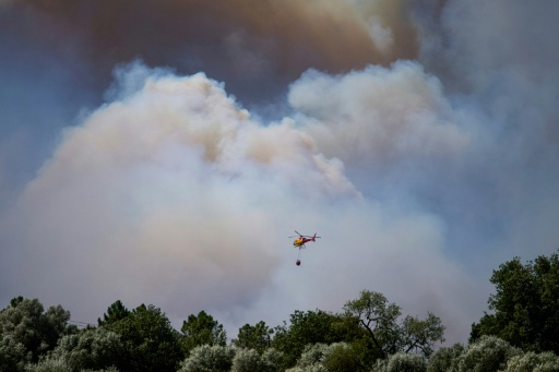 Mindestens zwölf Tote bei Waldbrand im südspanischen Andalusien