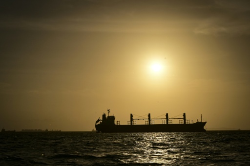 The Panama Canal will allow fewer ships through from next month because of a rain shortage caused by the El Nino weather phenomenon — MARTIN BERNETTI / AFP