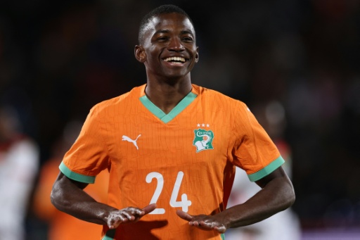 Für 50 Millionen: Hoffenheimer Touré wechselt nach Newcastle