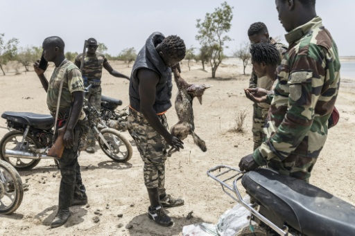 Un chasseur tient dans un renard abattu lors de la chasse de Diobaye, aux abords de Fatick, le 13 juillet 2026 au Sénégal — PATRICK MEINHARDT / AFP