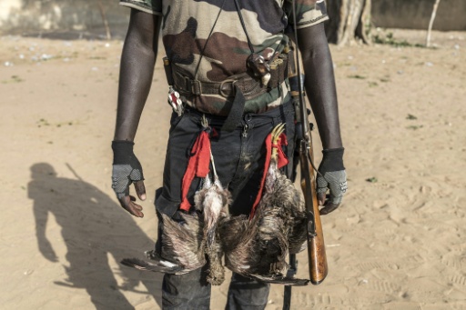 Un chasseur porte deux oiseaux morts à la taille lors d'une cérémonie à l'arène de Ngor Siid Ndour, à l'occasino de la chasse de Diobaye à Fatick, le 13 juillet 2026 au Sénégal — PATRICK MEINHARDT / AFP