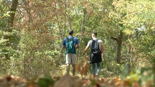La forêt de Fontainebleau retrouve ses visiteurs après l'incendie