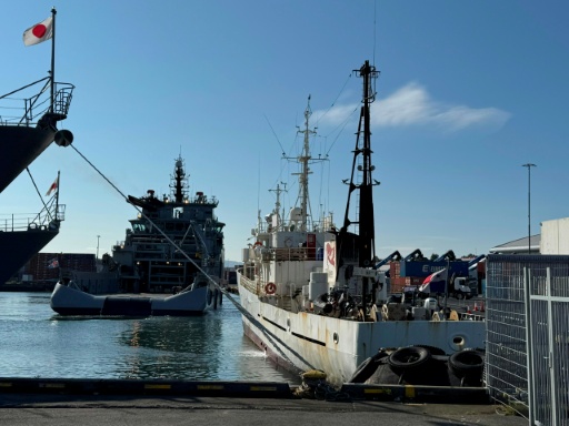 L'Islande ordonne l'expulsion de 21 militants anti-chasse à la baleine