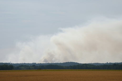La fumée d'un incendie dans la forêt de Fontainebleau, à Noisy-sur-École, le 14 juillet 2026 en Seine-et-Marne