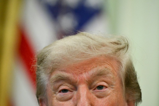 Trump dice que el estrecho de Ormuz podría reabrirse "pronto"