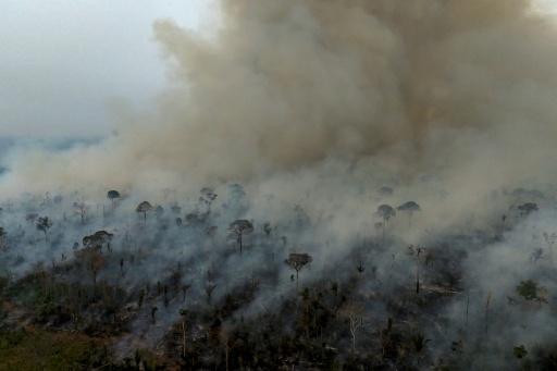 Incêndios na Amazônia caíram a mínimo histórico em 2025