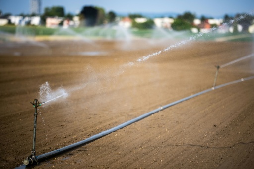 Austria registra un récord absoluto de temperatura con 41 °C