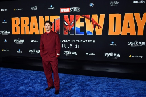 'Spider-Man' breaks record for domestic box office debut