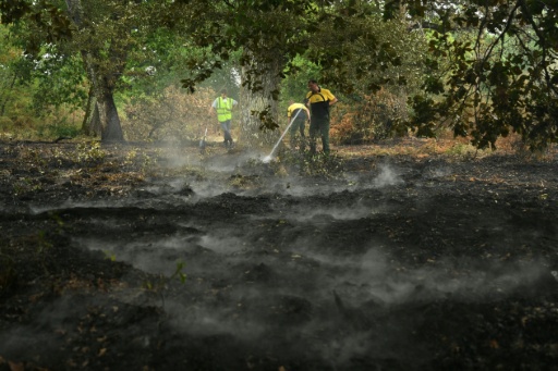 Des agents du Service de prévention des incendies de forêt (DFCI) éteignent des braises en forêt lors d'un incendie à Luglon, le 16 août 2026 dans les Landes — Gaizka IROZ / AFP