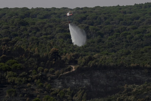 Incendies en Espagne: des milliers de personnes ont regagné leur domicile près de Madrid