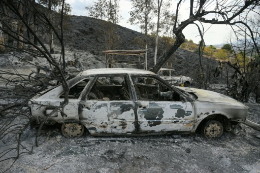 Une carcasse de voiture brûlée dans l'incendie qui a tué 12 personnes dans le sud de l'Espagne, le 12 juillet 2026 à Almocaizar, dans la province d'Almeria, en Andalousie