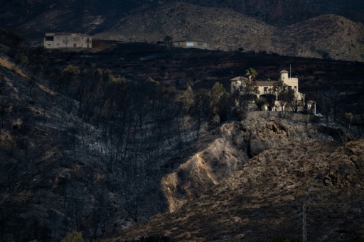Des maisons au milieu d'un paysage dévasté par l'incendie qui a tué 12 personnes dans le sud de l'Espagne, le 12 juillet 2026 à Bedar, dans la province d'Almeria, en Andalousie