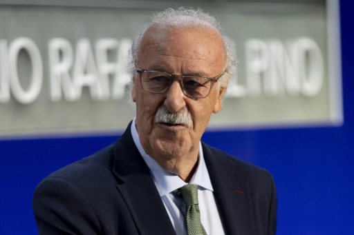 Del Bosque: Spaniens Trainerqualität wichtiger Faktor