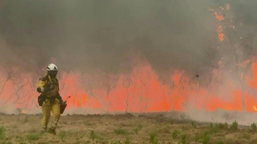 Incendie en Gironde: des pompiers de Paris en renfort — Jacques-Alexandre BRUN / AFP
