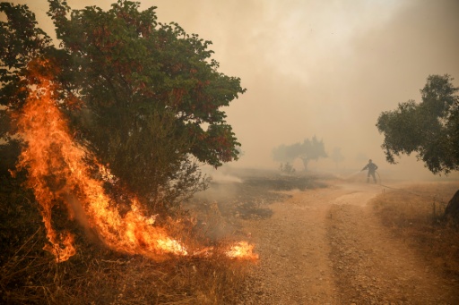 Les pompiers tentent d'éteindre un incendie de forêt dans le village de Loumpa, à l'ouest d'Athènes, dans la région de Béotie, en Grèce le 2 août 2026 — Aris Oikonomou / AFP