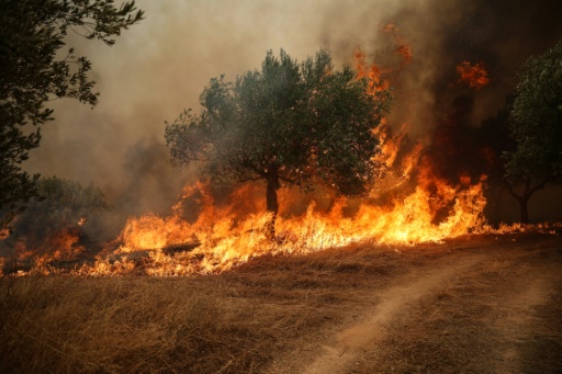 Incêndios mantêm região de Atenas sob ameaça