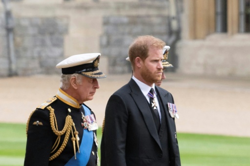 Le roi Charles III et son fils, le prince Harry, duc de Sussex, au château de Windsor, le 19 septembre 2022 — David Rose / AFP