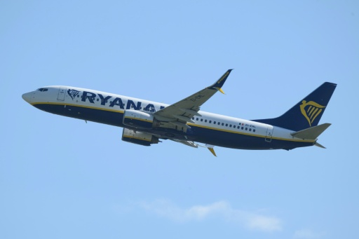 Un buitre obstinado, retirado del ala de un Ryanair antes de un vuelo en Grecia