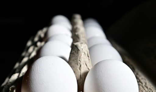 Shell shocked: producers to give 53 mn eggs to food banks in US settlement