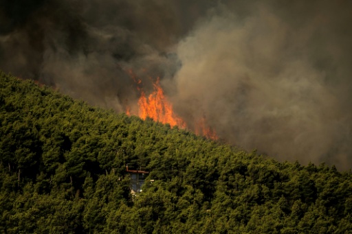 Esta fotografía muestra llamas de incendio forestal y una densa columna de humo elevándose sobre una casa a causa de un fuego en la zona de Porto Germeno, a unos 70 kilómetros (45 millas) al noroeste de Atenas, en la región de Viotia, el 2 de agosto de 2026 — Angelos TZORTZINIS / AFP