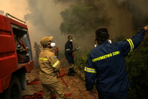 Bomberos griegos trabajan para extinguir un incendio forestal en la zona de Porto Germeno, a unos 70 kilómetros al noroeste de Atenas, en la región de Viotia, el 2 de agosto de 2026. Grecia afrontaba múltiples frentes y un creciente balance de daños tras una semana de incendios — Angelos TZORTZINIS / AFP