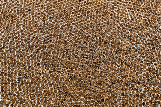 Elf Millionen illegale Zigaretten beschlagnahmt: Vier Festnahmen in Niedersachsen
