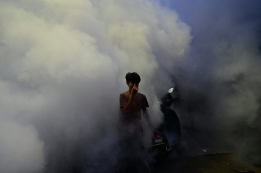 - Fumigation -