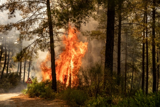 High winds hamper firefighting efforts in western Turkey