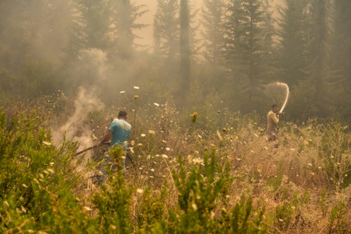 In many areas, local people joined efforts to battle the fires, with several volunteers using hosepipes in Seydikemer near the Fethiye resort — Murat Kocabas / AFP