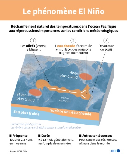 Graphique expliquant le phénomène El Niño dans l'océan Pacifique — Gal ROMA, Sophie RAMIS / AFP