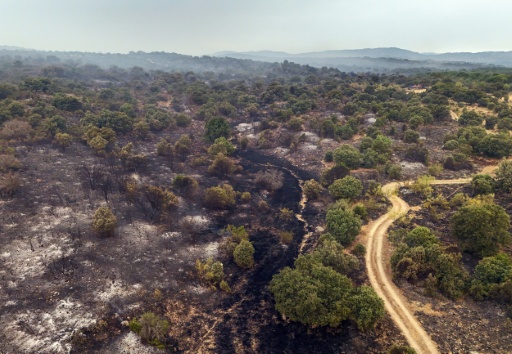 Incendies en Europe: les réfugiés accourent vers les centres d'accueil après une "nuit compliquée"