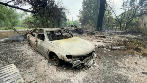 Gironde: véhicules et arbres calcinés après l'incendie progressant vers Bordeaux — Witold STANIK / AFP