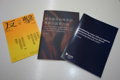 Advocacy documents published by the Association Concerning Sexual Violence Against Women (ACSVAW) are displayed at an NGO's office — Yan ZHAO / AFP