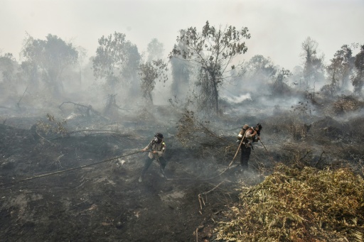 Fire haze threatens health of millions in Indonesia, ministry warns