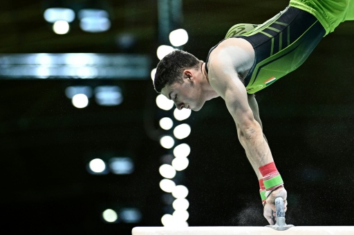 Commonwealth Games as 'training day', says Olympic champion McClenaghan