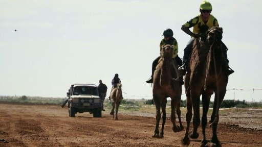 Dans l'arrière-pays australien, des jockeys s'affrontent à dos de dromadaires