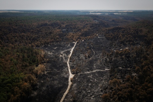 Vue aérienne d'une zone touchée par un incendie dans la forêt de Fontainebleau, à Noisy-sur-École, en Île-de-France, le 30 juillet 2026 — Simon WOHLFAHRT / AFP