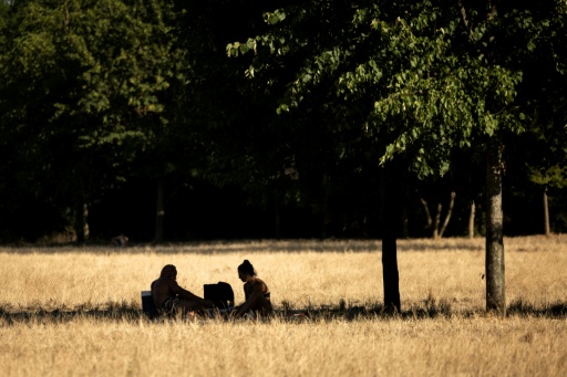 Un couple s'abrite sous un arbre pour pique-niquer au parc de Vincennes, le 11 juillet 2026 à Paris
