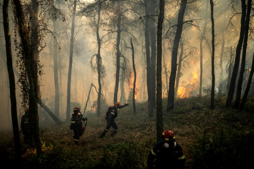 Des pompiers grecs tentent d’éteindre un incendie de forêt dans la région de Porto Germeno, à quelque 70 kilomètres au nord-ouest d’Athènes, dans la région de la Viotia, le 2 août 2026 — Angelos TZORTZINIS / AFP
