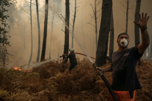 Un volontaire lutte contre le feu dans la forêt à Lanton (Gironde) le 29 juillet 2026 — Ed JONES / AFP