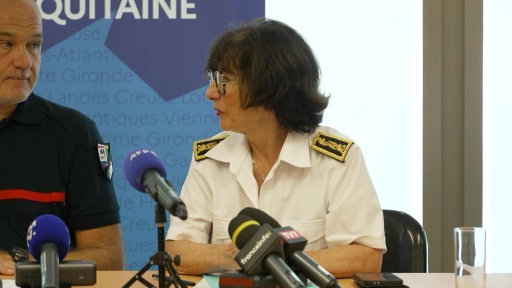 Mégafeu en Gironde : "première journée un peu optimiste" (préfète)