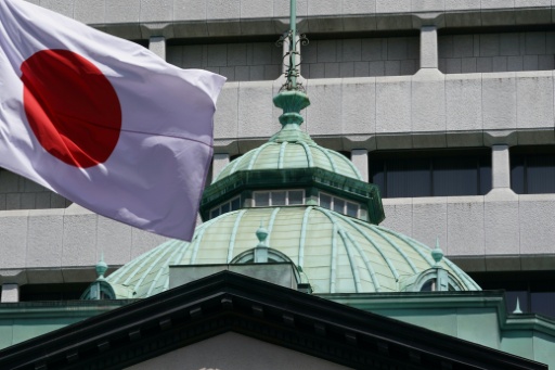Nearly 150 Japan academics oppose bill banning national flag desecration