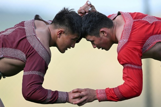 Esta foto tomada el 24 de junio de 2026 muestra a luchadores mongoles entrenando en un campamento antes del Festival de Naadam, a unos 100 km de Ulán Bator, en Mongolia
