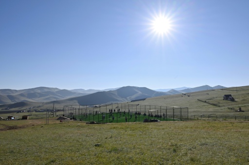Foto tomada el 24 de junio de 2026 que muestra una vista general de luchadores mongoles en un campo de entrenamiento a unos 100 kilómetros de Ulán Bator, antes del Festival Naadam