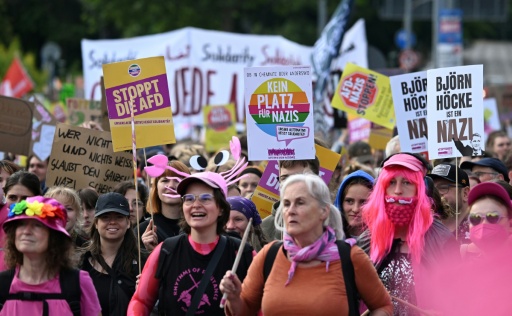 Des manifestants arborent des pancartes "Stop AfD" et "Pas de place pour les nazis" à Erfurt (est de l'Allemagne) le 4 juillet 2026