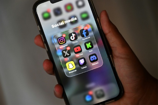 Französischer Verfassungsrat kippt Social-Media-Verbot für unter 15-Jährige