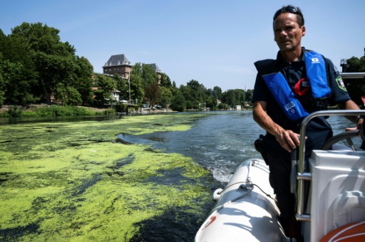 Un membre de la police municipale de Turin inspecte depuis son bateau gonflable les algues qui tapissent le Pô à Turin (nord-ouest de l'Italie) le (nord-ouest de l'Italie) le 14 juillet 2026