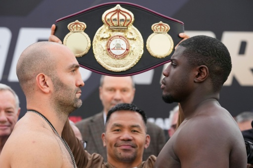 WM im Schwergewicht: Boxer Kadiru muss entkräftet aufgeben